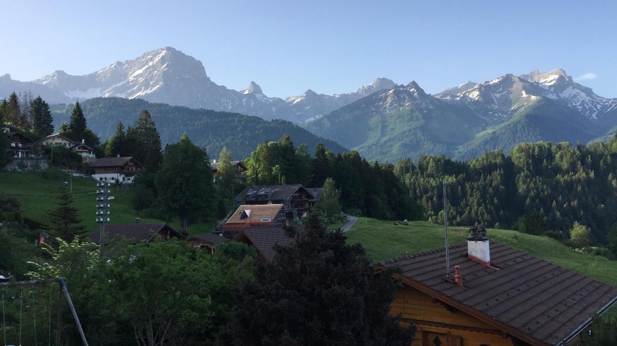 Chalet Le Slalom Arveyes Exterior foto