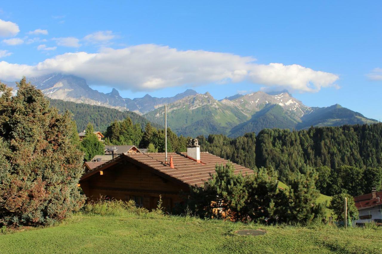Chalet Le Slalom Arveyes Exterior foto