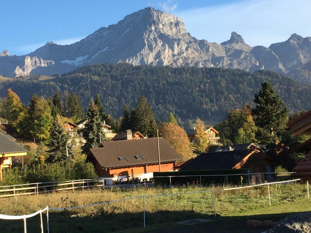 Chalet Le Slalom Arveyes Exterior foto