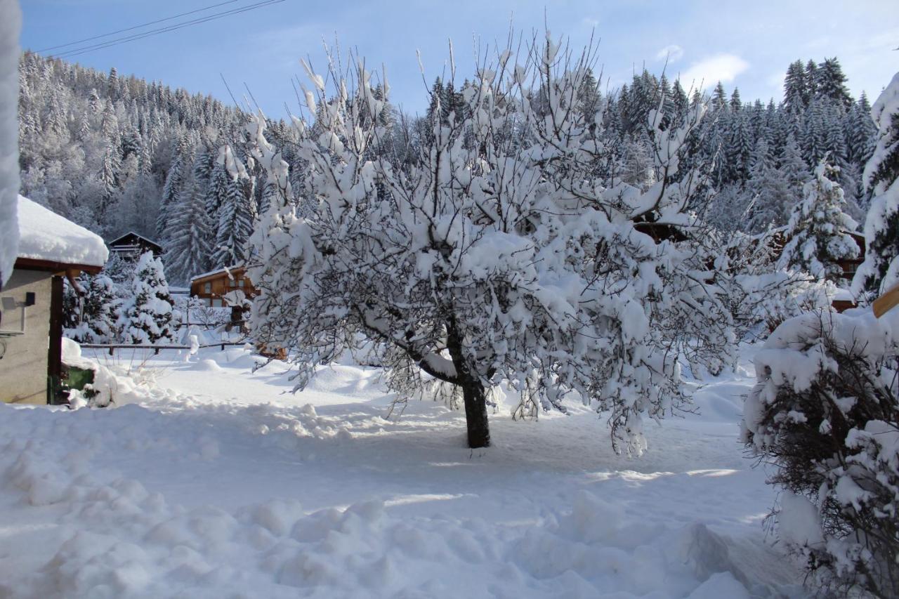 Chalet Le Slalom Arveyes Exterior foto
