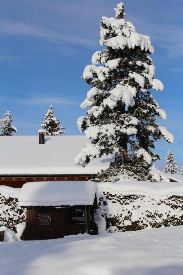 Chalet Le Slalom Arveyes Exterior foto